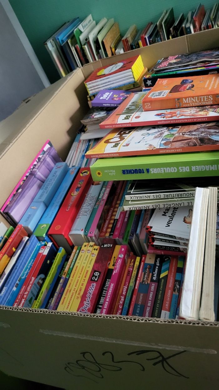 Livres jeunesses je vide les etageres bébé et jeunesses pour avoir de la place, à vos recherches - photo numéro 4