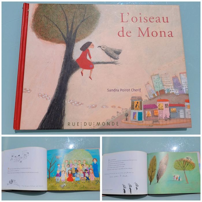 Très beau livre L'oiseau 🦅 de Mona, éditions Rue du Monde