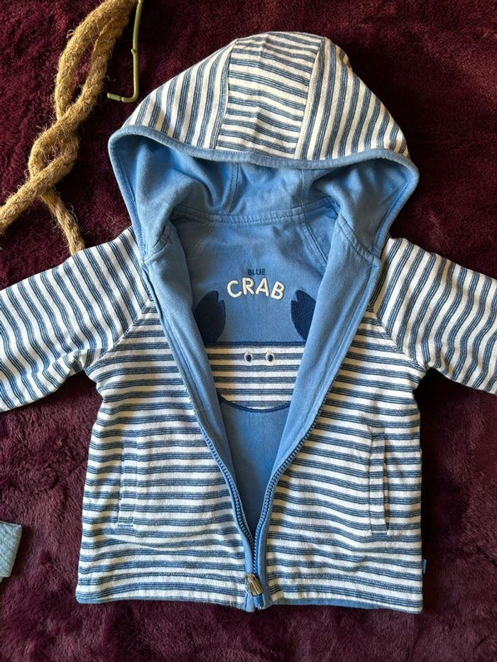 Lot 4 pièces taille 12 mois - photo numéro 11