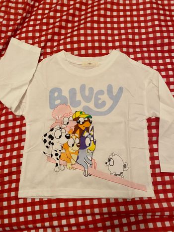 T shirt bluey