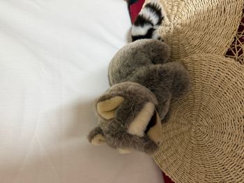 Peluche Raton Laveur ajena
