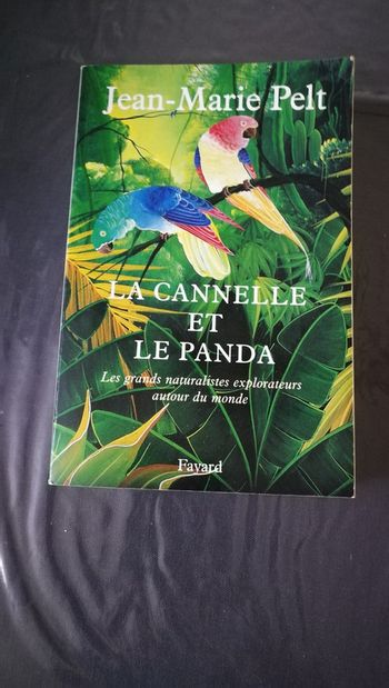 La cannelle et le panda