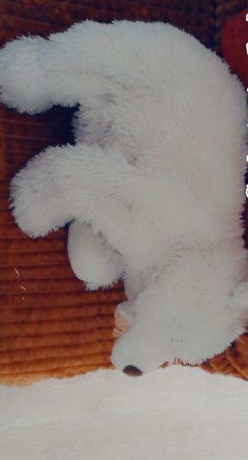 Peluche ours blanc