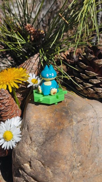 Super petite figurine Pokemon Nintendo Goinfrex