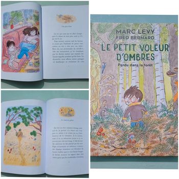 Livre Le Petit Voleur d'ombres, Perdu dans la forêt, de Marc Lévy (11)