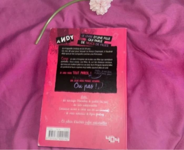 Andy princesse 2.0 - photo numéro 2