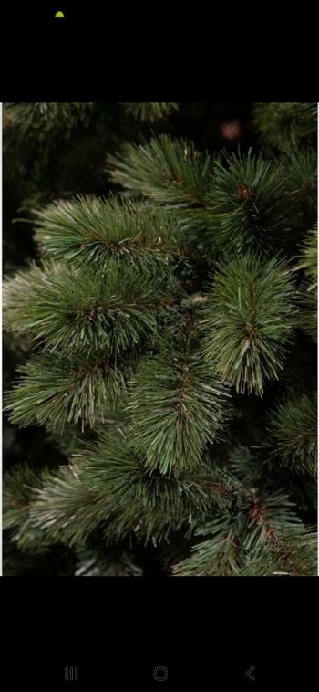 Sapin slim réaliste Triumph tree