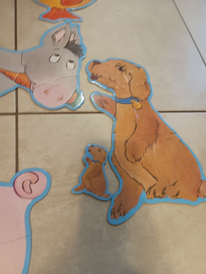 6 puzzles géant de Djeco - photo numéro 5