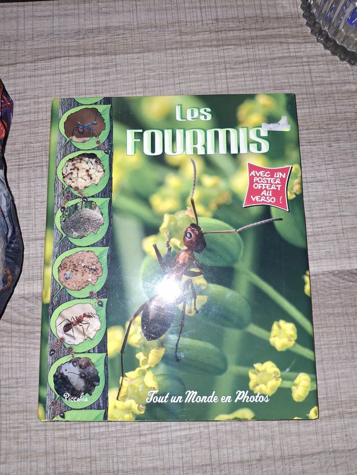 Livres animaux Les fourmis