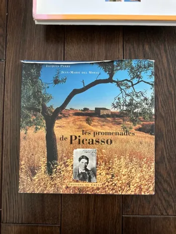 Livre les promenades de Picasso