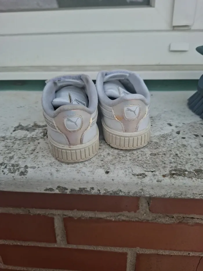 Puma taille 24 - photo numéro 4