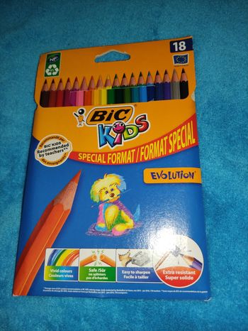 Lot 18 crayons de couleur bic