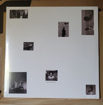 Tems Born In The Wild Vinyle [Alternative Edition]