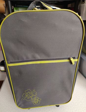 Valise Cabine extra légère souple pliable 2 roues 57x34x17 cm bras télescopique