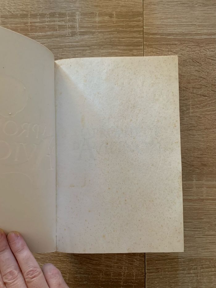 La prophétie d’Avignon - photo numéro 7