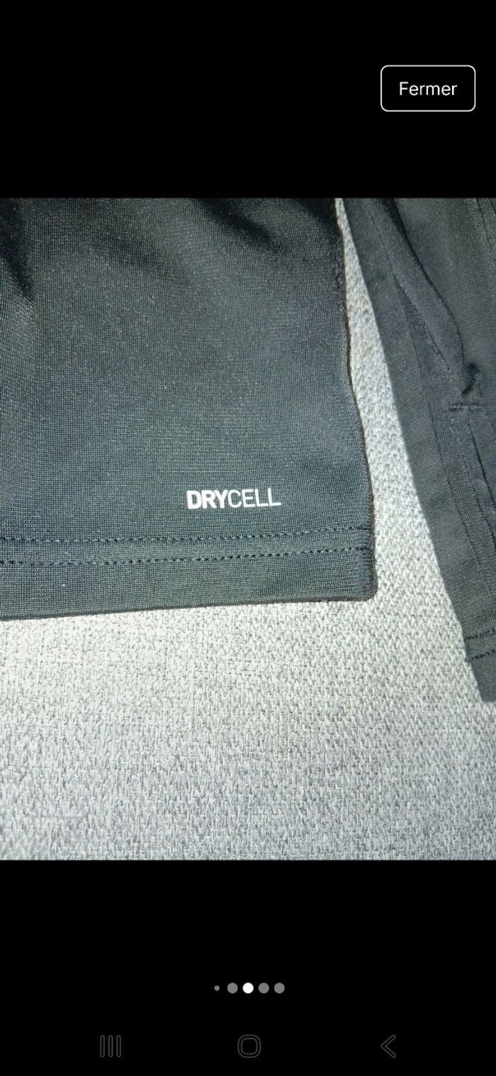 Sweet puma - photo numéro 6