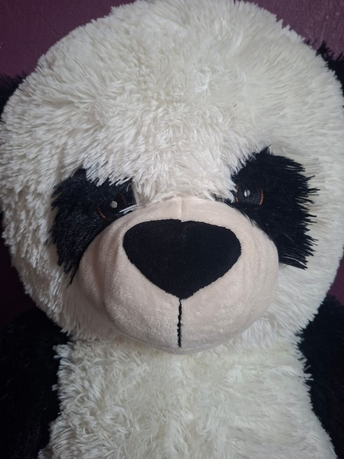 Panda - photo numéro 2