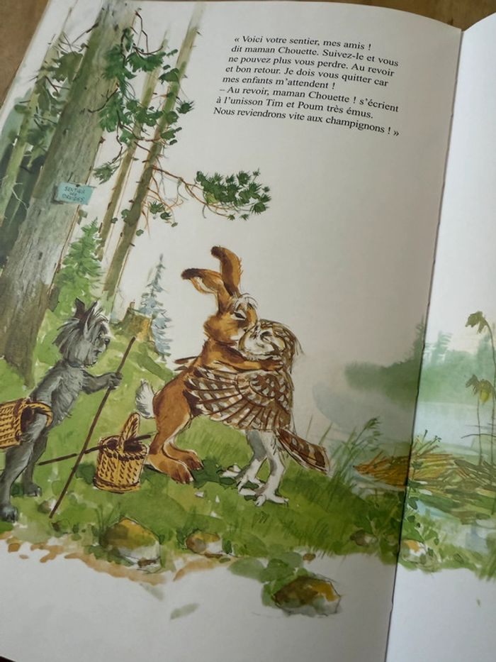Grand livre album vintage Tim et Poum dans la forêt Pierre Probst auteur Caroline - photo numéro 9