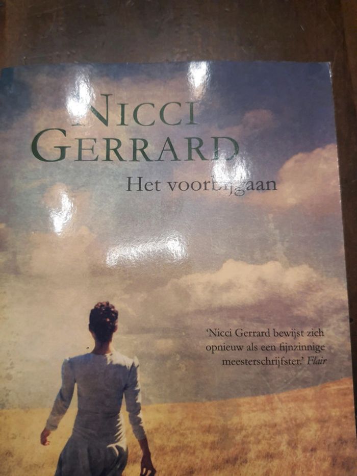 Boek Het Voorbijgaan Nicci Gerrard - photo numéro 2