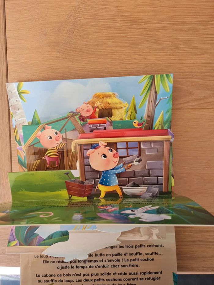 Trois petits cochons - photo numéro 2