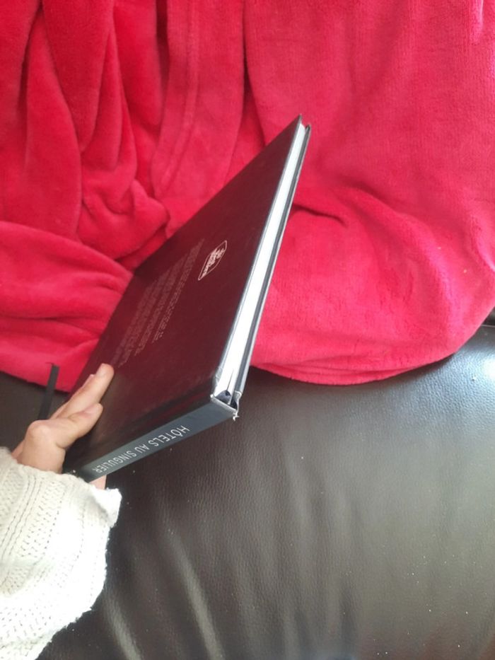 Livre hôtel au singulier p o - photo numéro 5