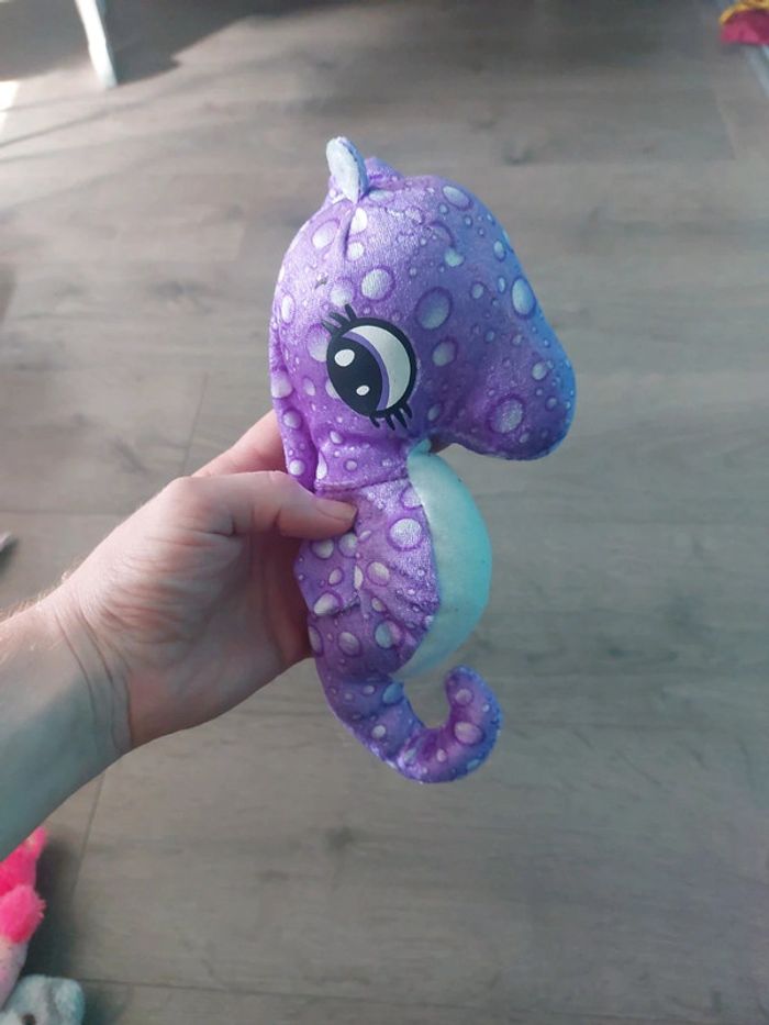 Hippocampe