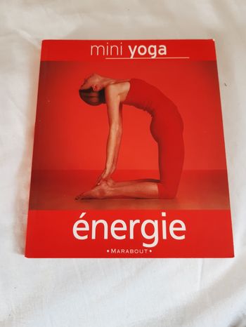 Livre yoga sur les énergies