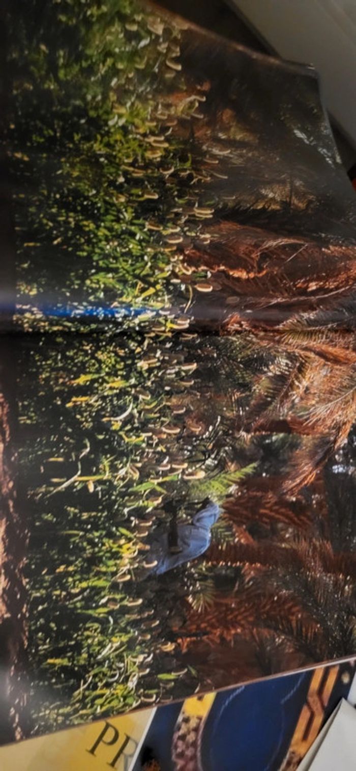 Livre de photographie du sahara - photo numéro 4