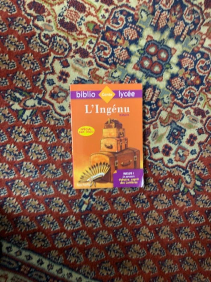 Livre l’ingenu
