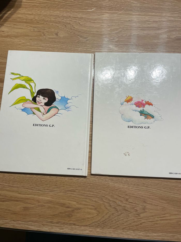 Le village dans les nuages - photo numéro 4