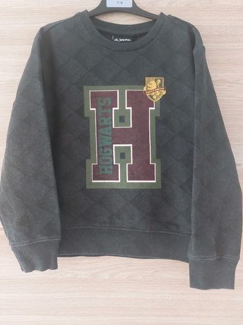 Pull Harry Potter
