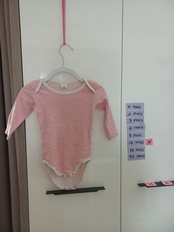 Bodie 12 mois