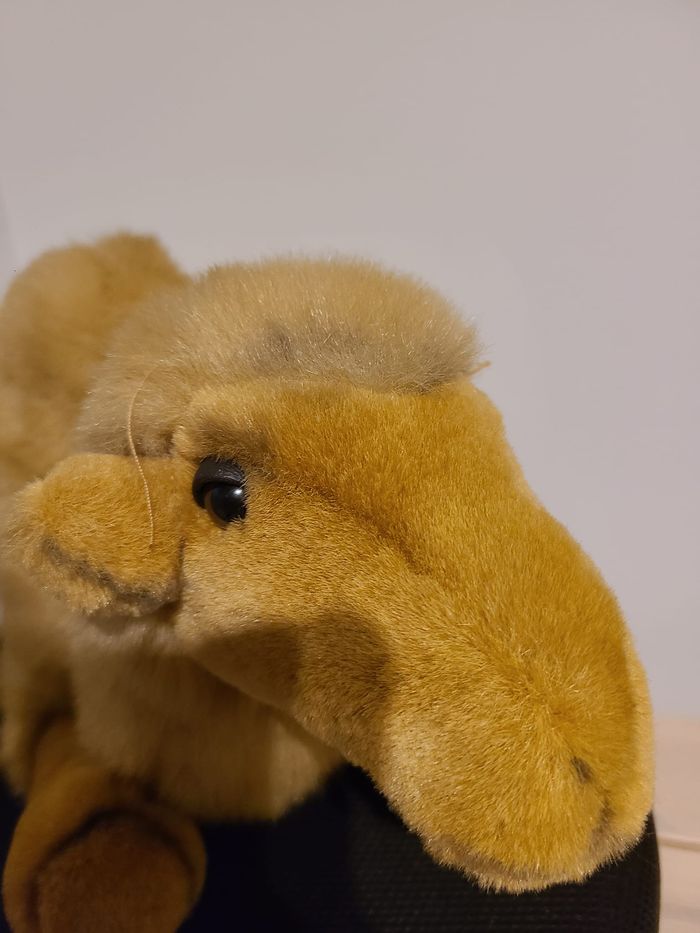 peluche chameau - photo numéro 3