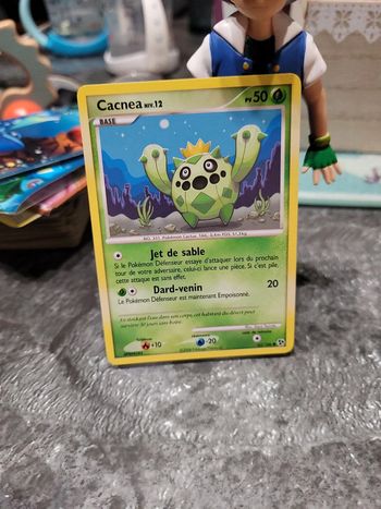 Pokémon cacnea niv12