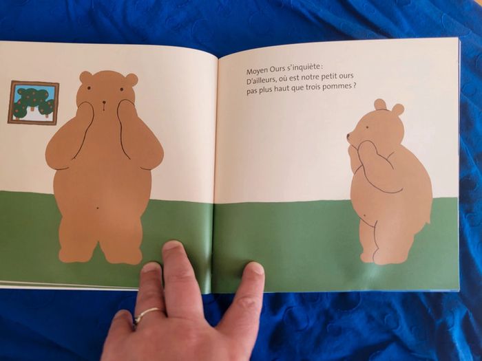 Album / Livre - photo numéro 4