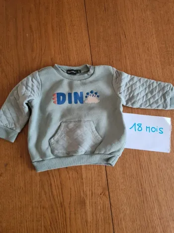 Pull polaire
