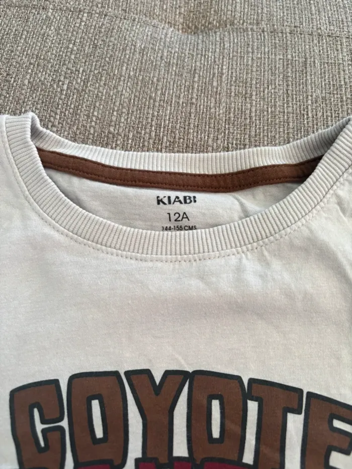 Lot de 2 T shirt manches longues imprimé velours 12 ans - photo numéro 11