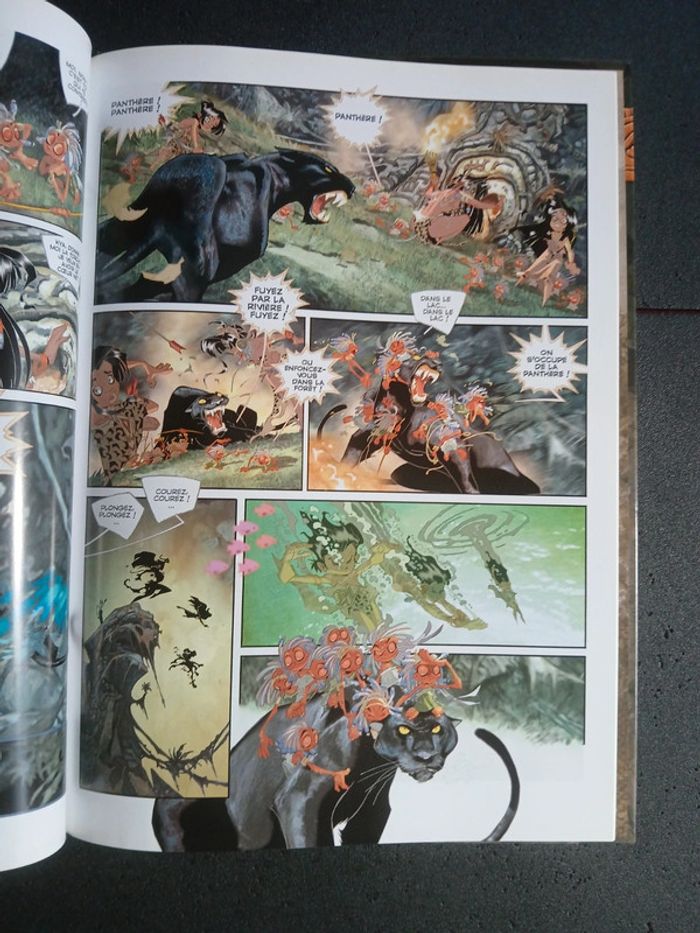 Bd canari 1,EO - photo numéro 7