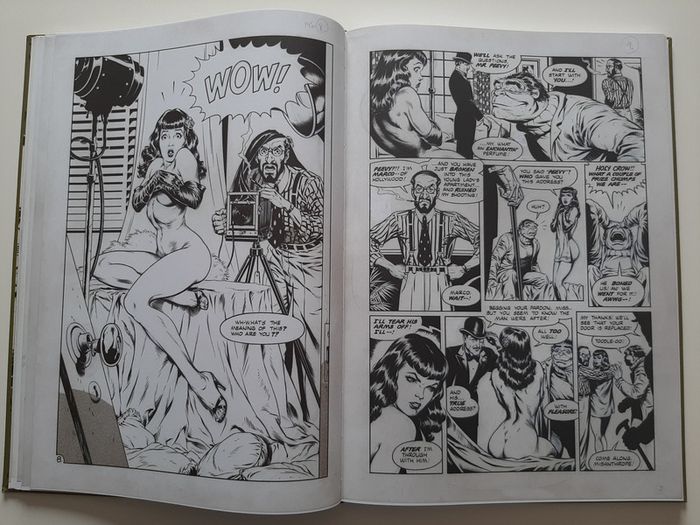 RARE The Rocketeer - Artist's edition Dave Stevens - grand format noir & blanc - photo numéro 14