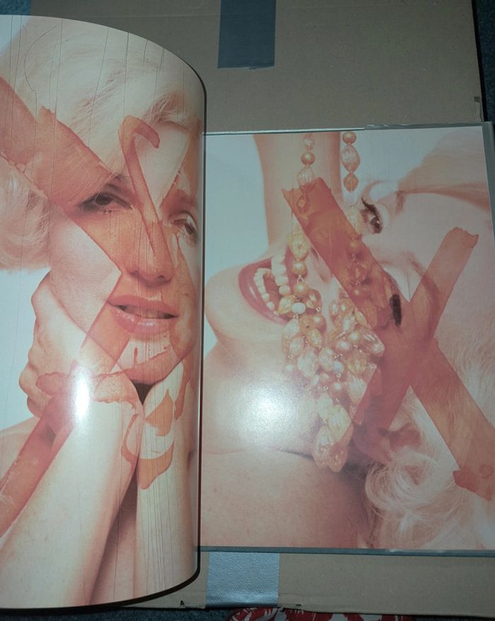 Marilyn sa dernière séance - photo numéro 6