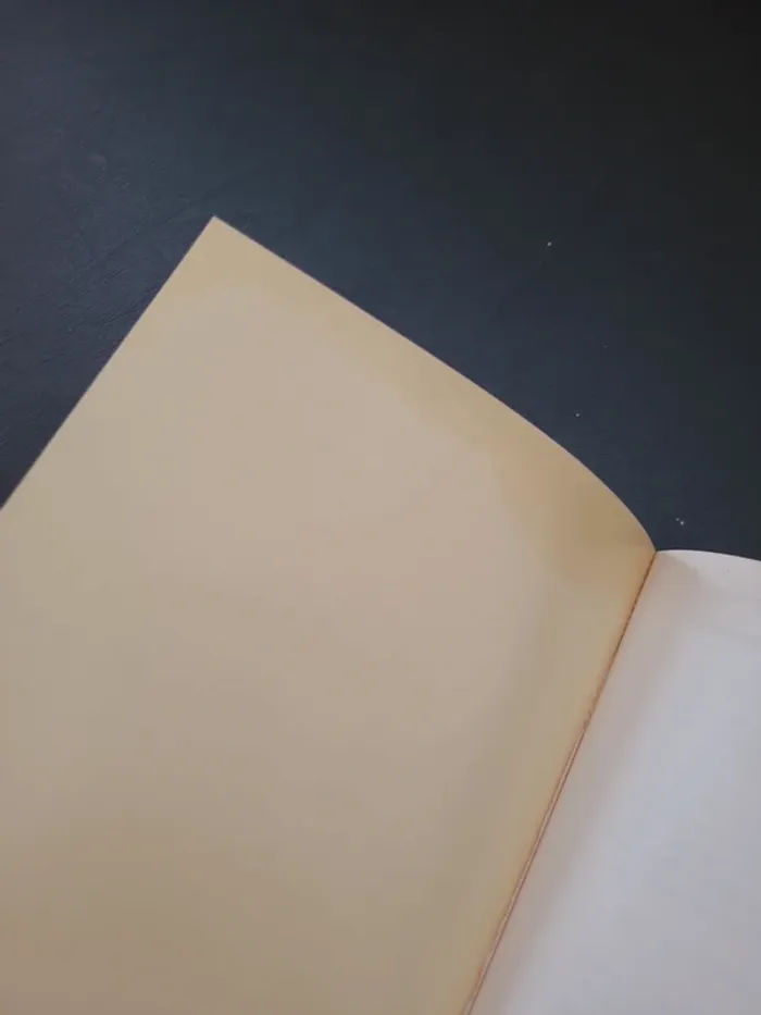 Lettres de mon moulin - photo numéro 6