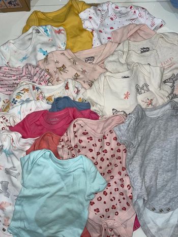 Lot de 20 bodys manches courtes