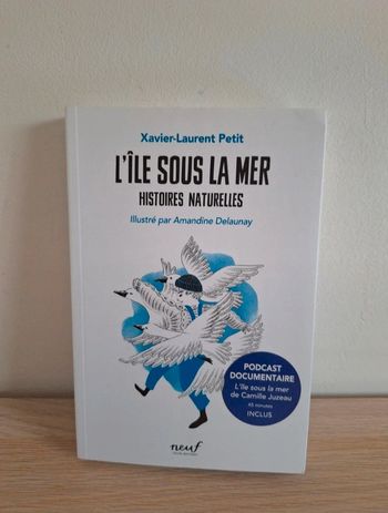 Roman jeunesse l'île sous la mer