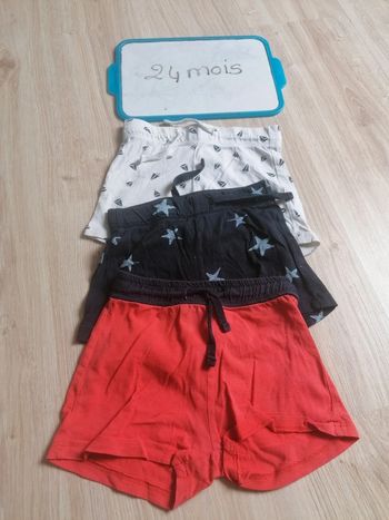 Lot 3 short