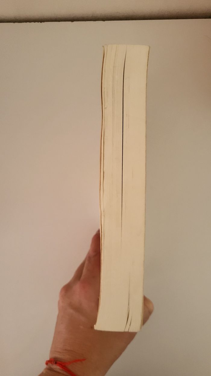 Livre - photo numéro 4