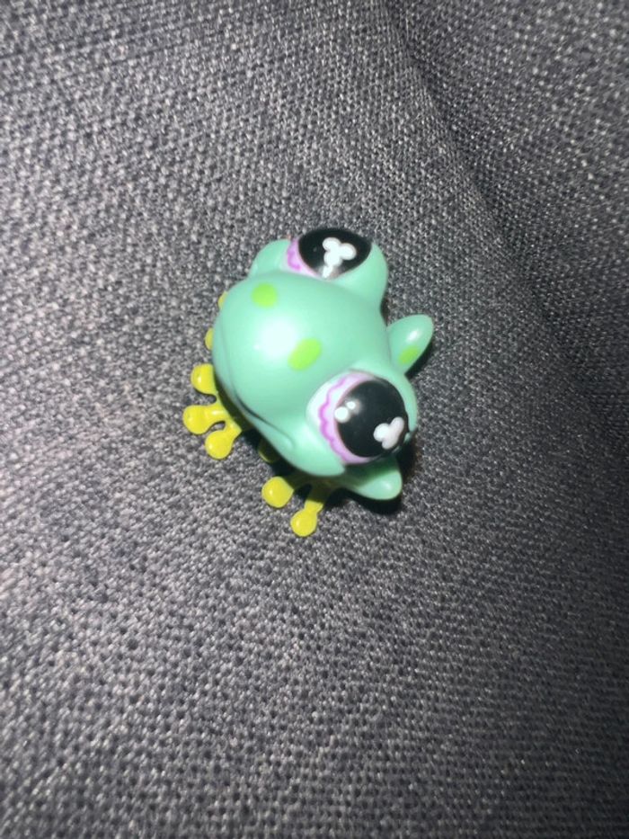 Pet shop grenouille #479