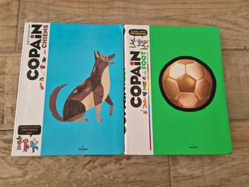 Lot de 2 livres copain des chiens et du foot