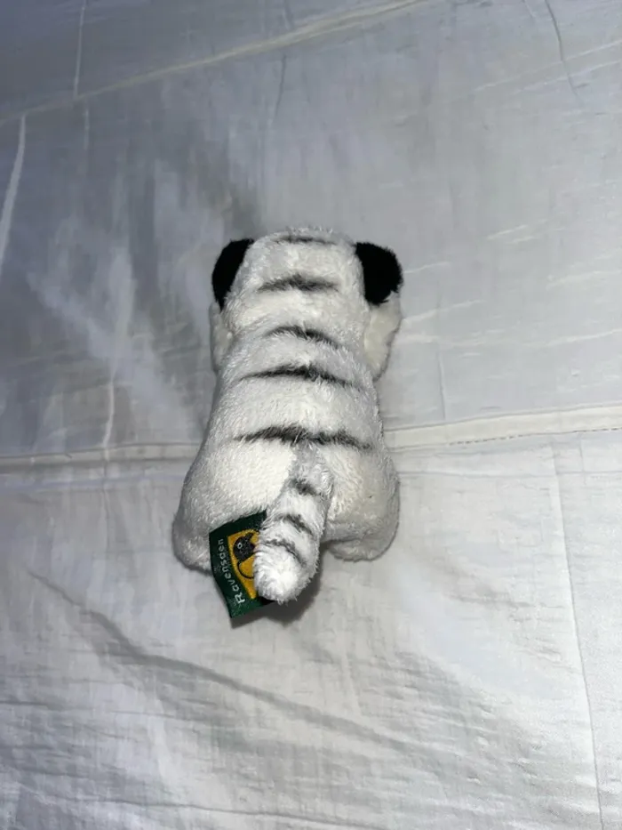 Tigre blanc - photo numéro 3