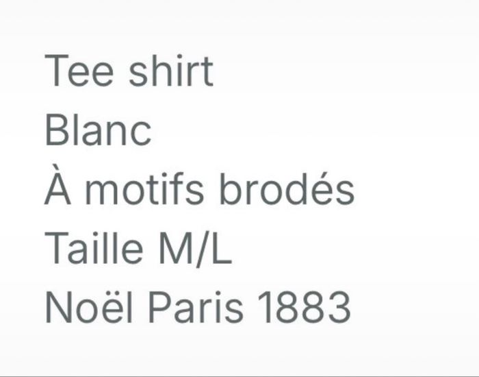 Tee shirt brodée - photo numéro 5