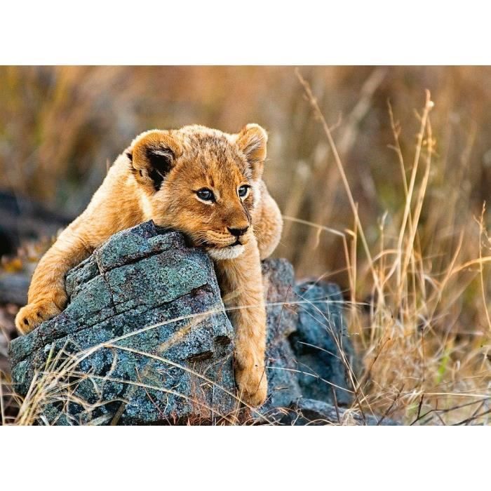 Puzzle 200 p XXL Le petit lionceau 129461 RAVENSBURGER - photo numéro 2